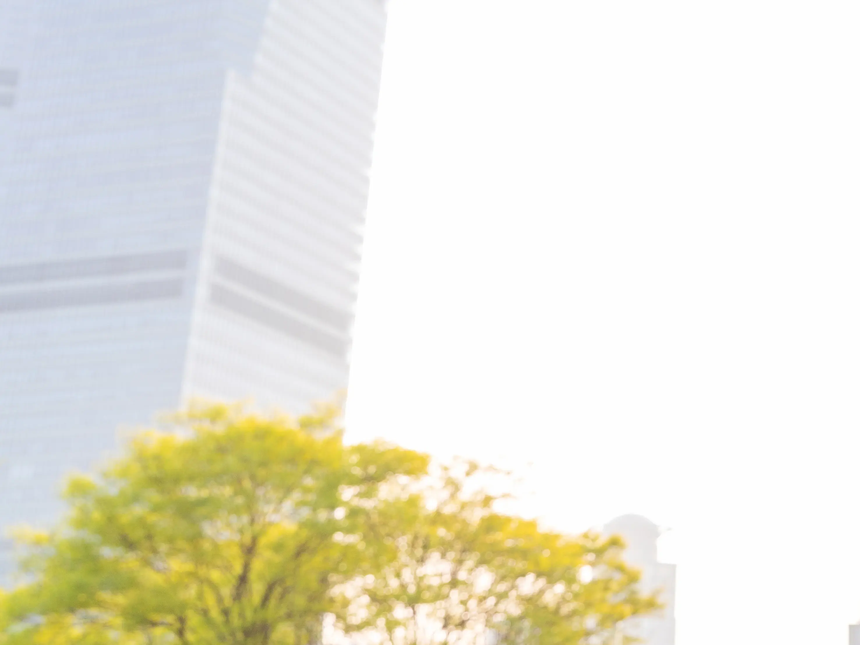 不动产查询不到房产信息,解决办法及注意事项(图1) 不动产查询不到房产信息,解决办法及注意事项(图1)