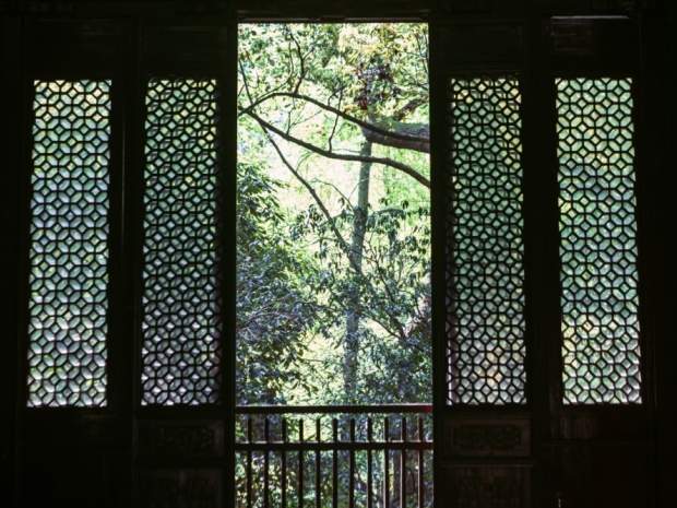 长沙一居民家中惊现眼镜王蛇，室内发现蛇类怎么办？(图1)