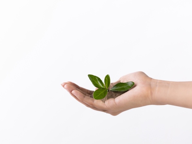 村集体被指私分耕地,征收土地后的社会影响如何评估?(图1) 村集体被指私分耕地,征收土地后的社会影响如何评估?(图1)