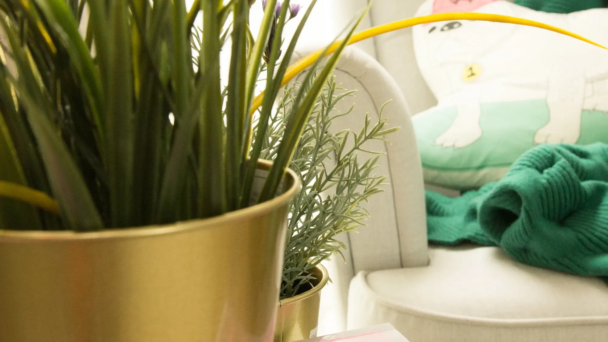 疾控在高烧老人家中找出近200只蜱虫,夏季如何居家防蜱虫?(图1) 疾控在高烧老人家中找出近200只蜱虫,夏季如何居家防蜱虫?(图1)