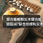 复合地板和实木复合地板区别?复合地板和实木复合地板选购要点?(图4) 复合地板和实木复合地板区别?复合地板和实木复合地板选购要点?(图4)