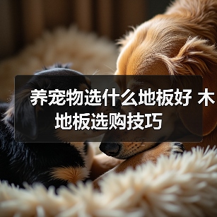 养宠物选什么地板好 木地板选购技巧(图4) 养宠物选什么地板好 木地板选购技巧(图4)