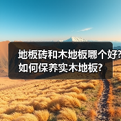 地板砖和木地板哪个好?如何保养实木地板?(图2) 地板砖和木地板哪个好?如何保养实木地板?(图2)