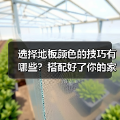 选择地板颜色的技巧有哪些?搭配好了你的家会高大尚!(图2) 选择地板颜色的技巧有哪些?搭配好了你的家会高大尚!(图2)