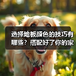 选择地板颜色的技巧有哪些?搭配好了你的家会高大尚!(图3) 选择地板颜色的技巧有哪些?搭配好了你的家会高大尚!(图3)
