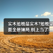 实木地板是实木?地板里面全是骗局,别上当了!(图4) 实木地板是实木?地板里面全是骗局,别上当了!(图4)