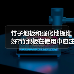 竹子地板和强化地板谁好?竹地板在使用中应注意什么(图4) 竹子地板和强化地板谁好?竹地板在使用中应注意什么(图4)