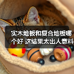 实木地板和复合地板哪个好 这结果太出人意料了!(图1) 实木地板和复合地板哪个好 这结果太出人意料了!(图1)