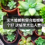 实木地板和复合地板哪个好 这结果太出人意料了!(图4) 实木地板和复合地板哪个好 这结果太出人意料了!(图4)