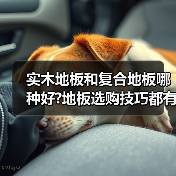 实木地板和复合地板哪种好?地板选购技巧都有哪些?(图2) 实木地板和复合地板哪种好?地板选购技巧都有哪些?(图2)