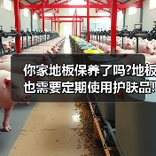 你家地板保养了吗?地板也需要定期使用护肤品!(图3) 你家地板保养了吗?地板也需要定期使用护肤品!(图3)