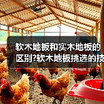 软木地板和实木地板的区别?软木地板挑选的技巧?(图3) 软木地板和实木地板的区别?软木地板挑选的技巧?(图3)