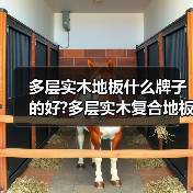 多层实木地板什么牌子的好?多层实木复合地板好不好?(图1) 多层实木地板什么牌子的好?多层实木复合地板好不好?(图1)