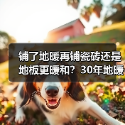 铺了地暖再铺瓷砖还是地板更暖和?30年地暖工人这么说!(图1) 铺了地暖再铺瓷砖还是地板更暖和?30年地暖工人这么说!(图1)