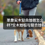 圣象实木复合地板怎么样?实木地板与复合地板的区别?(图1) 圣象实木复合地板怎么样?实木地板与复合地板的区别?(图1)