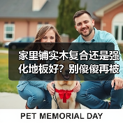家里铺实木复合还是强化地板好？别傻傻再被商家忽悠了（图3）