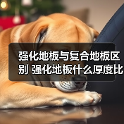 强化地板与复合地板区别 强化地板什么厚度比较好(图3) 强化地板与复合地板区别 强化地板什么厚度比较好(图3)