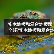 实木地板和复合地板那个好?实木地板和复合地板有什么区别?(图3) 实木地板和复合地板那个好?实木地板和复合地板有什么区别?(图3)