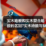 实木地板和实木复合地板的区别?实木地板与复合地板哪个好?(图4) 实木地板和实木复合地板的区别?实木地板与复合地板哪个好?(图4)