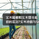 实木地板和实木复合地板的区别?实木地板与复合地板哪个好?(图1) 实木地板和实木复合地板的区别?实木地板与复合地板哪个好?(图1)