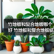 竹地板和复合地板哪个好 竹地板和复合地板结构区别(图1) 竹地板和复合地板哪个好 竹地板和复合地板结构区别(图1)