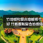 竹地板和复合地板哪个好 竹地板和复合地板结构区别(图3) 竹地板和复合地板哪个好 竹地板和复合地板结构区别(图3)