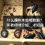 什么颜色木地板耐脏?听老师傅介绍,才知自己当初想错了(图2) 什么颜色木地板耐脏?听老师傅介绍,才知自己当初想错了(图2)