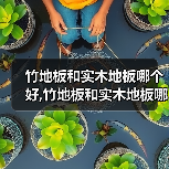 竹地板和实木地板哪个好,竹地板和实木地板哪个贵(图3) 竹地板和实木地板哪个好,竹地板和实木地板哪个贵(图3)