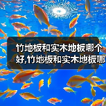 竹地板和实木地板哪个好,竹地板和实木地板哪个贵(图1) 竹地板和实木地板哪个好,竹地板和实木地板哪个贵(图1)