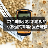 复合地板和实木地板的优缺点有哪些 复合地板和实木地板的优缺点介绍(图4) 复合地板和实木地板的优缺点有哪些 复合地板和实木地板的优缺点介绍(图4)