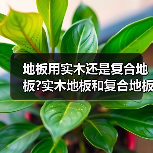 地板用实木还是复合地板?实木地板和复合地板的区别?(图1) 地板用实木还是复合地板?实木地板和复合地板的区别?(图1)