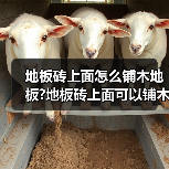 地板砖上面怎么铺木地板?地板砖上面可以铺木地板吗?(图2) 地板砖上面怎么铺木地板?地板砖上面可以铺木地板吗?(图2)