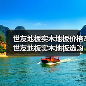 世友地板实木地板价格?世友地板实木地板选购方法(图3) 世友地板实木地板价格?世友地板实木地板选购方法(图3)