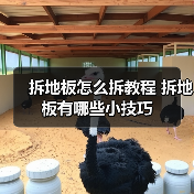拆地板怎么拆教程 拆地板有哪些小技巧(图1) 拆地板怎么拆教程 拆地板有哪些小技巧(图1)