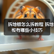 拆地板怎么拆教程 拆地板有哪些小技巧(图4) 拆地板怎么拆教程 拆地板有哪些小技巧(图4)