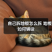自己拆地板怎么拆 地板如何铺设（图3）