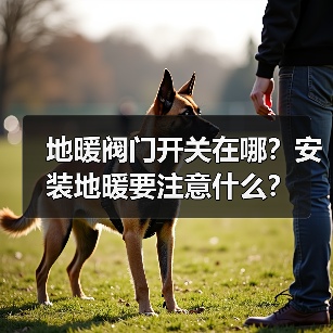 地暖阀门开关在哪？安装地暖要注意什么？（图4）