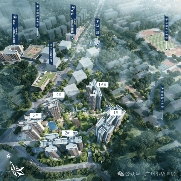 统一热线更新与实名预约看房流程，直连售楼处服务与限流预约提醒，核心区位及教育优势一览(图13)