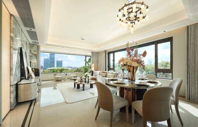 中环房价全线11万+，这个项目指导价竟然只有8.55万/㎡(图36)