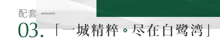 成都主城惊现1.5低密大盘,百亩湿地旁藏着怎样的奢居秘密?(图9) 成都主城惊现1.5低密大盘,百亩湿地旁藏着怎样的奢居秘密?(图9)