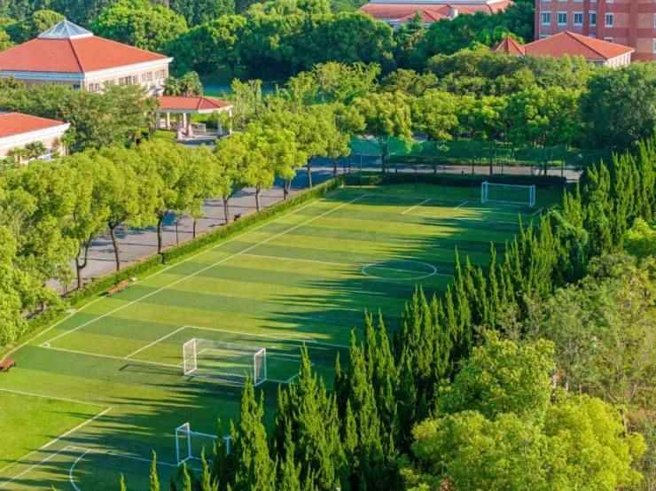 上海38栋法式独栋庄园,竟然藏着世界500强高管的居住秘密(图24) 上海38栋法式独栋庄园,竟然藏着世界500强高管的居住秘密(图24)