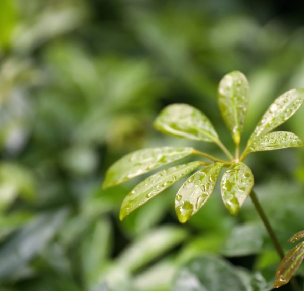 房产资讯全览|掌握市场动态的5个关键点2023(图1) 房产资讯全览|掌握市场动态的5个关键点2023(图1)